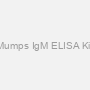 Mumps IgM ELISA Kit
